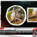 예수상 파괴를 자랑스러워하는 이스라엘 군인들..파키스탄 휴전 협상은 사기.. 네타냐후가 협상 파토 이미지