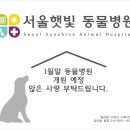 서울햇빛동물병원 이미지