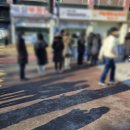 3월 일기 : 자가격리 그리고 일상