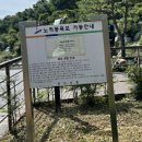 안산가볼만한곳 - 노적봉폭포공원 데이트하기 좋아