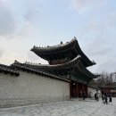 삼선12 | [부동산 임장기] 창경궁 롯데캐슬 시그니처(삼선5구역)
