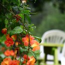 땅콩민박 이미지