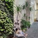 마트클럽 신안점 | 나트랑 2방 8박9일 총후기