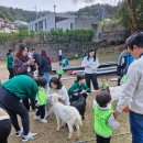 솔빛농장 이미지