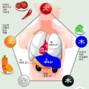 오행컬러푸드