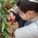 철민농장 이미지