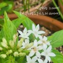화목사 네이버블로그
