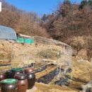 전원목장 이미지