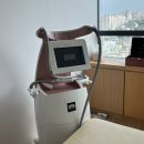 다이안 | 홍대 다이어트 신부관리는 다이안테라피 LPG알리안스 추천