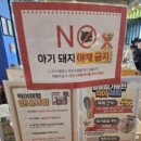4035 | 16개월 아기와 애니멀스타 다녀온 후기