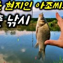 (주)아르스플러스 이미지