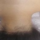 다안에스테틱