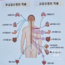 동래피트니스 | 부산동래바디관리 스페이스뷰티 동래점 부산탈모두피관리와 피트니스돔 후기