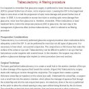 Trabeculectomy: filtering procedure 이미지