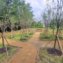 샘골공원2 이미지