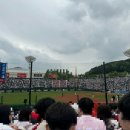 3루지정석