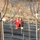 주훈농장 이미지