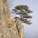 양지-2730 | 경북의성 비봉산