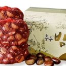 농협소태 이미지