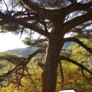 솔바구산장 이미지