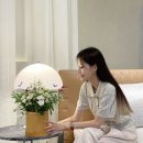 [09/13] 프리저브드 플라워 하바리움 - 원데이 클래스 | 친환경매트리스 돌레란 플래그십스토어 논현 원데이클래스 매달 열려요!