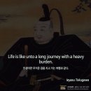 유달리짐 이미지