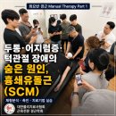 두통부터 턱관절·경추디스크까지, 흉쇄유돌근(SCM)의 모든 것 이미지