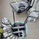 장수 | 다이와 엘파 여성 풀세트 비교 시타 구매 후기 장수 골프샵