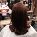 루디아헤어샵 이미지