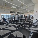 시카고짐 이미지