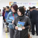 보령난