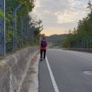 의신초등학교접도분교장 이미지