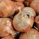 대우건강원 이미지