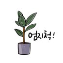 카카오 이미지