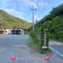 힐링(장태산) | 대전펜션 장태산 힐링타임펜션 대전단체숙소 알아볼 때 추천하는 곳 가격 위치 방옵션