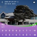 리마켓부산 이미지