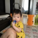 농부애마트