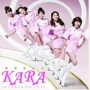카라PC 이미지