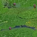 우포1대로 이미지