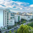 분당-139 이미지