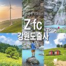 디지털카메라활용(초급) | [필름 카메라 감성 여행] 니콘 미러리스 카메라 Z fc 강원도 태백&amp;삼척 당일치기 출사 여행