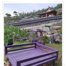 클라라 한옥민박 이미지