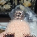 손뜨개 키링 만들기 이미지