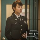 시그널 이미지