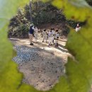 명호초등학교,병설유치원 이미지