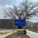 전북 무주 노지 캠핑 굴암리 굴암교 후기(화장실 이용 참고)