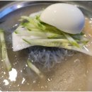 참착한고기 이미지