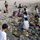 연평초교 이미지