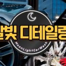 바로출장손세차 - 세종특별자치시 갈매로 363 | 바로출장손세차
