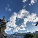 새초승목장 | 봄날은 간다